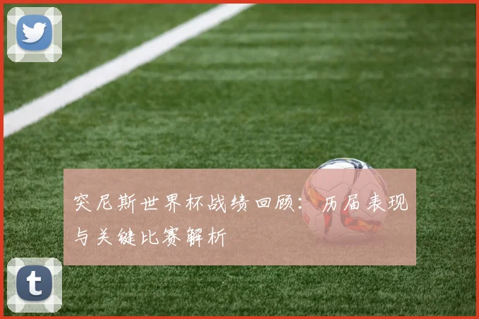 突尼斯世界杯战绩回顾：历届表现与关键比赛解析
