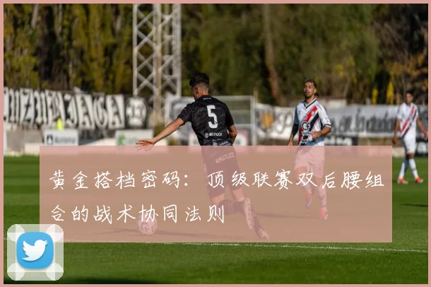 黄金搭档密码:顶级联赛双后腰组合的战术协同法则